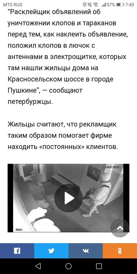 Подбросил тараканов и клопов в квартиру. | Пикабу