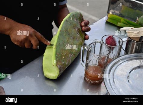 Tuna Plant Emollient Tonical Drink La Samaritana Square In