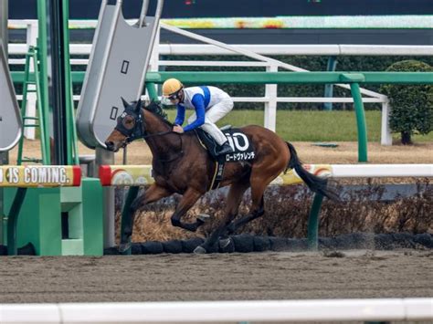 【アレキサンドライトsレース後コメント】ロードヴァレンチ永野猛蔵騎手ら 競馬ニュース Netkeiba