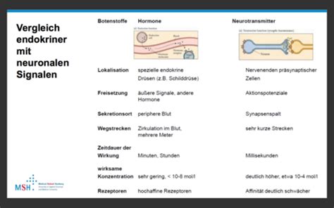 Vl Hormone Karteikarten Quizlet