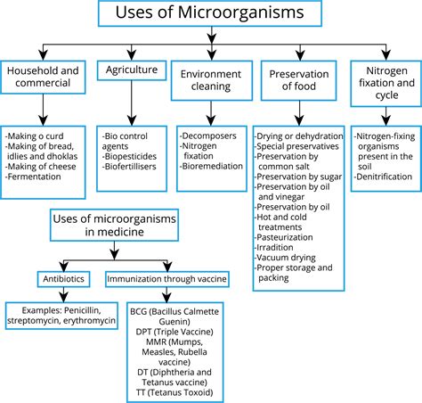 Mind Map Lesson Science State Board Class 9