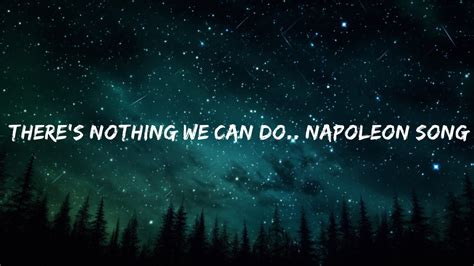 Theres Nothing We Can Do Napoleon Song Lyrics Tiktok Version