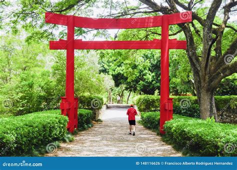 Beautiful Torii Gate In Japanese Garden Contracting With The Green Of