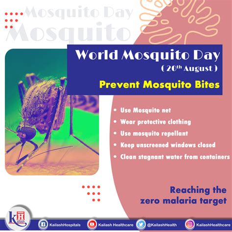 Mosquitoes are the 'world's deadliest animal' responsible for more than 1 million deaths every ...