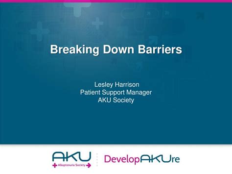 Breaking Down Barriers Ppt Download