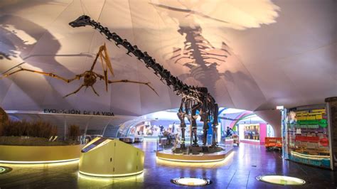 Abrió Museo De Historia Natural Y Cultura Ambiental Con Días Y Horarios Especiales