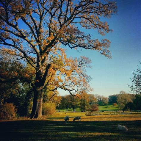 17 Best images about Autumn in England on Pinterest | Parks, Lake ...