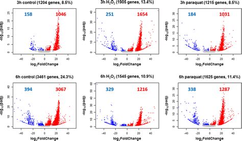 Volcano Plots Showing The Sex Biased Gene Expression Within Each Group Download Scientific