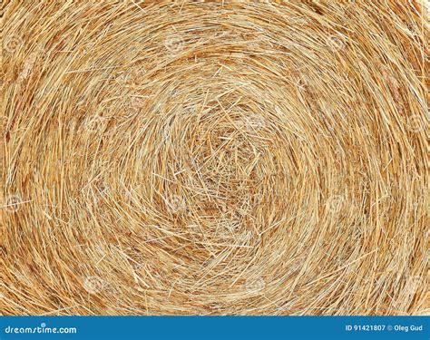 Hay Spiral Texture Background Stock Image Image Of Cattle