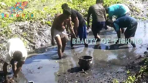 Exclusive Hand Fishing In Mud Water Big Catfish Caught By Hand