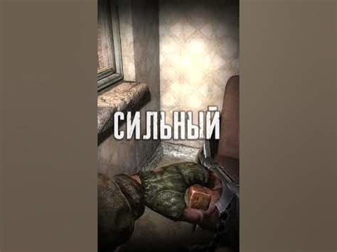 Я обыскал Все Тайники в Припяти Сталкер Зов Припяти #Shorts - YouTube
