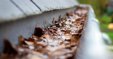 The Dangers Of Gutter Sludge And How To Prevent It