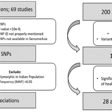 Flow Diagram Of The Selection Of 28 Snps From 1456 Snps Download