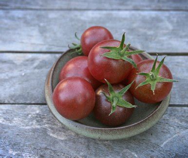 Black Cherry Tomato Lycopersicon Esculentum Black Cherry Plant Lust