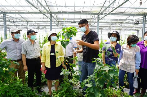 全國產啤酒新里程碑 花蓮農改場全國首例平地有機啤酒花收成 農傳媒