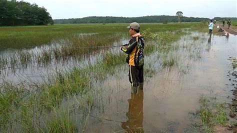 Gambar Orang Mancing Di Sungai – pulp