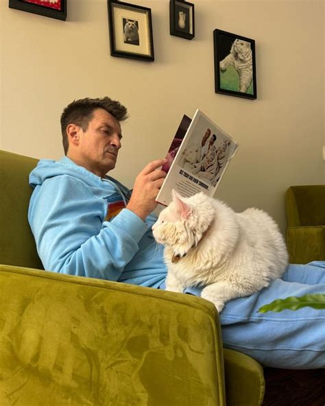 Instagram Nathan Fillion Crazy Cats Crazy Cat Lady