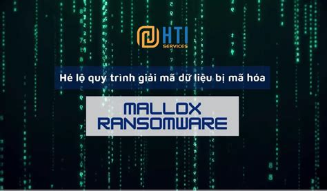 Quy trình giải mã dữ liệu bị mã hóa Mallox Ransomware HTI Services