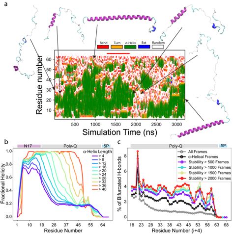 Insights Into The Conformational Landscape Of Httex1 With Md Download Scientific Diagram