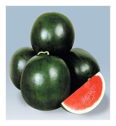 Buy Watermelon Dark Green All Need Seeds For Kitchen Garden - Pack of ...