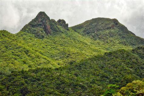 Free Images Landscape Nature Forest Rock Wilderness Walking