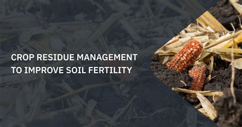 Crop Residue Management: Importance, Benefits, And Hurdles