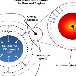 Induced gravitational collapse scenario. | Download Scientific Diagram