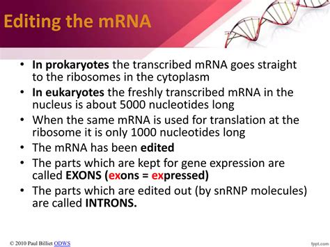 Gene Expression Concept And Analysis Ppt Free Download