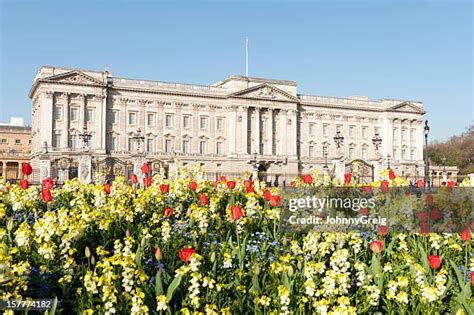 National Flower Of England Photos and Premium High Res Pictures - Getty ...