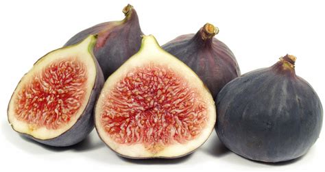 history   fig raw food blog