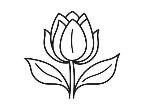 Tulip Garden Coloring Coloring Page
