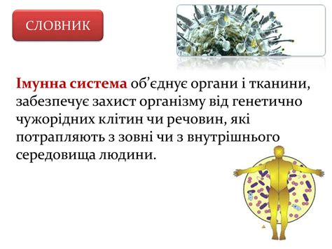Імунітет - презентация онлайн