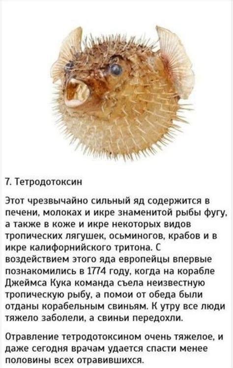 10 самых опасных и быстродействующих ядов в мире