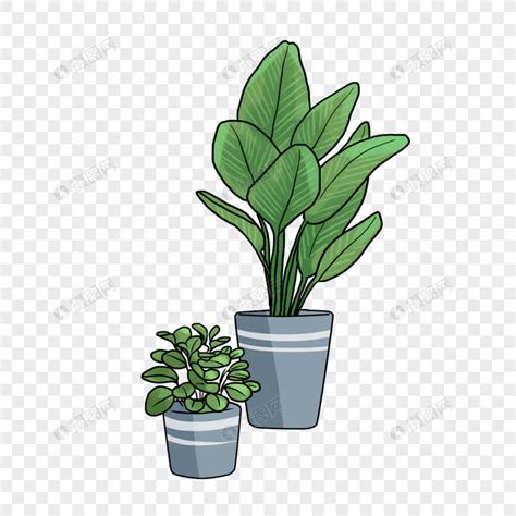 Potted Plants Pots Green Plant Potted Plants Png Transparent Image