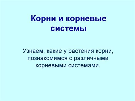 Корни и корневые системы - презентация онлайн