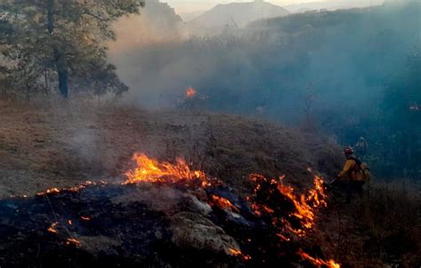 Jalisco Primer Lugar Nacional En Incendios Forestales Udeg Notisistema