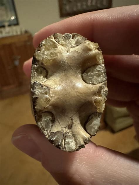 What Is This Oval Cylinder Rwhatsthisrock