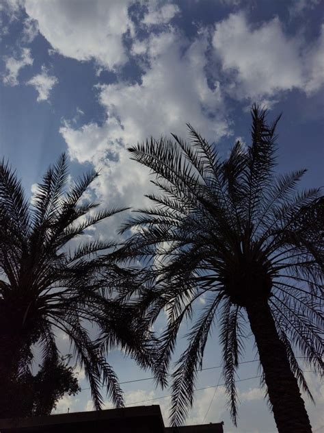 غيوم Clouds In 2022 Photo Nature Plants