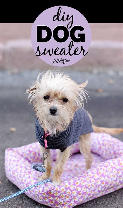 dog sweater sewing pattern and cute puppy pictures! - see kate sew