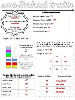 Sex Linked Traits By Adorkable Math And Science Tpt