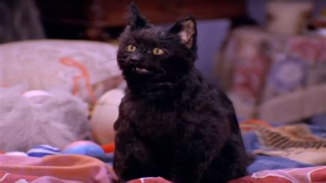 Salem From Netflix's 'Sabrina' Reboot Has Been Revealed & He's Edgier ...