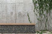 Free picture: plant, fence, metal, ivy, leaf