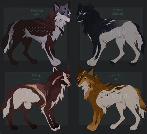 Natural Wolf Adopts Open By Honey Wisp On Deviantart