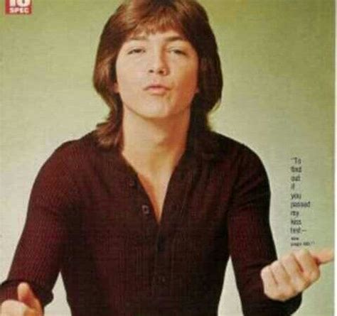 Pin By Naomi Vazquez On TV Movies David Cassidy David Katie Cassidy