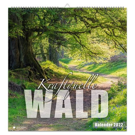 Dekokalender 2022 Kraftquelle Wald Lingenverlag De