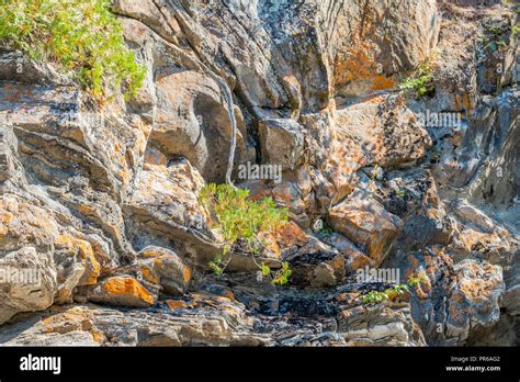 Canadian Shield Hi Res Stock Photography And Images Alamy