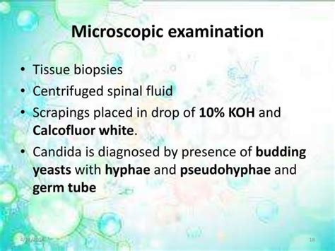 Candidiasis Moniliasis Oral Thrush Yeast Infections Ppt