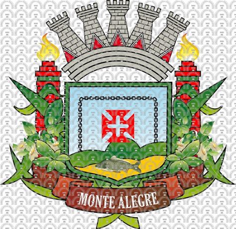 Brasão e Bandeira do Município de Monte Alegre PA mbi br