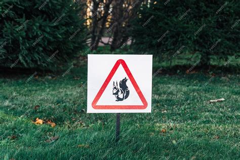 Premium Photo Squirrels In The Park Beware Sign