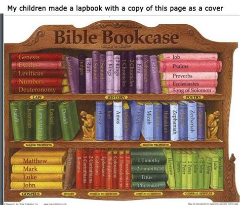 Bible Bookcase Books Of The Bible Pinterest